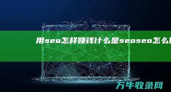 用seo怎样赚钱 什么是seo (seo怎么做)