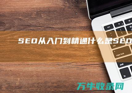 SEO从入门到精通 什么是SEO 阿成 (seo新手入门)